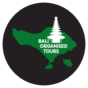 Logo - Bali Organised Tours